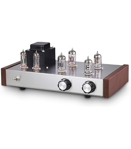 Amazon.co.jp: 2022 HIFI ECC83 ECC82 真空管 プリアンプ ヘティアン